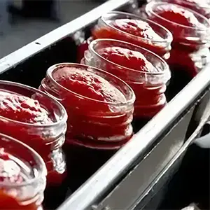 Machines de remplissage pour l’agroalimentaire et les boissons 