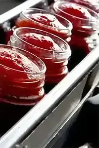 Machines de remplissage pour l’agroalimentaire et les boissons 