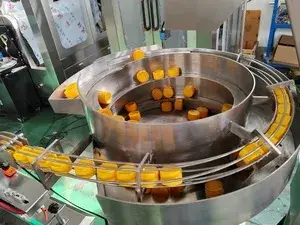 Alimentateur à bol vibrant